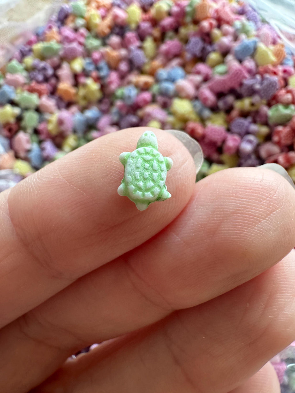 Tiny Turtle Beads, 10x6x4mm, Hole: 2mm, Tortoise Beads, Acrylic, Mixed Colors, 100 pieces